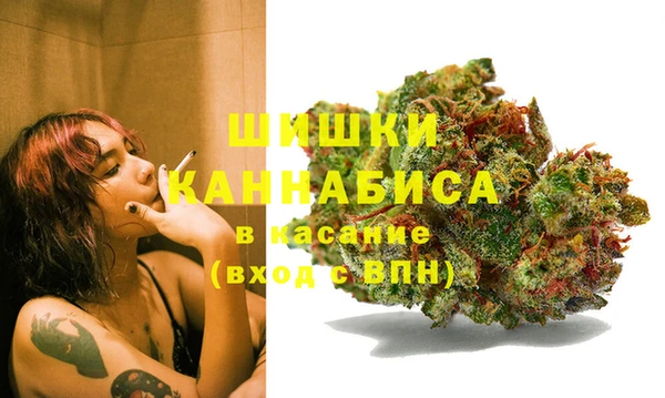 стафф Михайлов
