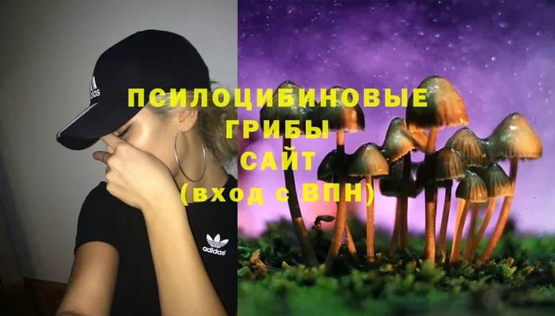 где найти наркотики  OMG как войти  Псилоцибиновые грибы Psilocybe  Рыльск 