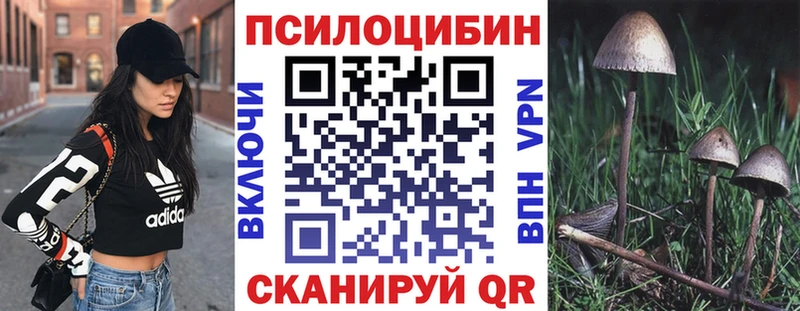 продажа наркотиков  Рыльск  Галлюциногенные грибы Psilocybine cubensis 